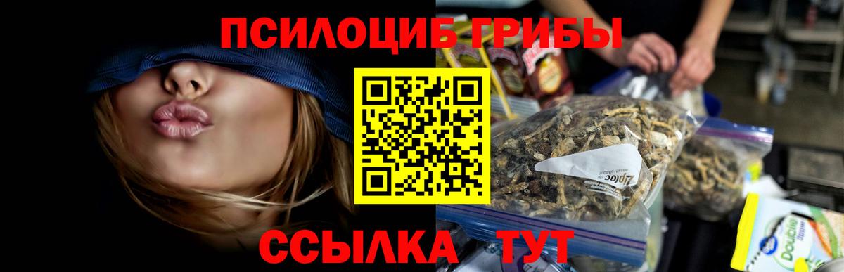 Галлюциногенные грибы Psilocybine cubensis  Псилоцибиновые грибы ЛСД  Вход с VPN  Домодедово 
